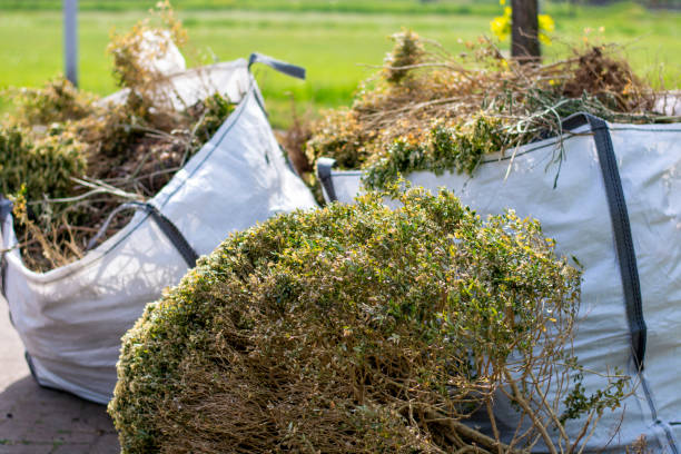 Best Local Junk Hauling  in Roxboro, NC